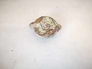 Verschluss Kühlmittel Deckel Kühler Ausgleichsbehälter Volkswagen Golf, IV 1997.08 - 2003.10 Gebraucht, ALH