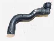 Kühlerschlauch Seat Ibiza, III 2002.02 - 2009.11 1j0122291f,