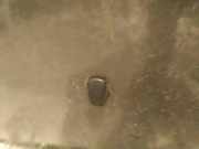 Waschwasserdüse Scheibenreinigung Kia Sorento, I 2002.01 - 2009.06 Gebraucht,