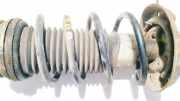 Fahrwerksfeder vorne Fiat Punto, 2005.10 - 2012.03 Gebraucht,