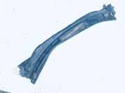 Windlauf Wischerabdeckung Toyota Avensis Verso, 2001.08 - 2009.11 5570844110,55708-44110 45620110490