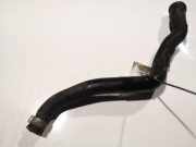 Intercooler Schlauch Nissan Primera, P12 2002.01 - 2008.12 Gebraucht,