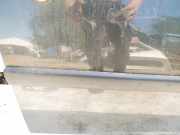 Zierleiste Tür Zier-Schutzleiste - Vorne Rechts Peugeot 107, I 2005.01 - 2009.06 Gebraucht,