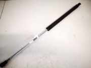 Gasdruckfeder Kofferraum Renault Laguna, II 2001.03 - 2006.05 8200000902b,