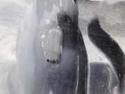 Waschwasserdüse Scheibenreinigung Volkswagen Golf, III 1993.07 - 1999.04 Gebraucht ,