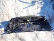 Kühlergrill Frontgrill Kühlergitter Renault Laguna, II 2001.03 - 2006.05 8200012581,