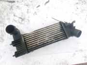 Ladeluftkühler Peugeot 406, 1999.03 - 2004.05 facelift Gebraucht ,