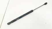 Gasdruckfeder Kofferraum Skoda Praktik, I 2006.01 - 2010.06 5J7827550,