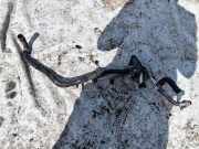 Kühlerschlauch Mercedes-Benz ML, W164 2005.06 - 2009.07 Gebraucht ,