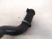 Kühlerschlauch Opel Signum, 2003.05 - 2008.06 Gebraucht,