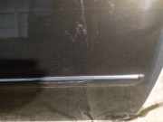 Zierleiste T?r Zier-Schutzleiste - Vorne Rechts Fiat Croma 2005 - 2011 Gebraucht,