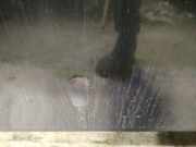 Waschwasserdüse Scheibenreinigung Volkswagen Passat, B4 1993.07 - 1996.08 Gebraucht, AFT