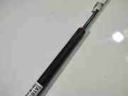 Gasfeder für Motorhaube Skoda Octavia, II 2004.02 - 2009.03 Gebraucht ,