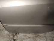 Zierleiste T?r Zier-Schutzleiste - Hinten Linke Renault Laguna, III 2007.10 - 2010.11 Gebraucht,