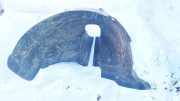 Radhausschale - Hinten Linke Seat Ibiza, III 2002.02 - 2009.11 Gebraucht,