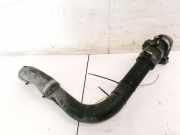 Intercooler Schlauch Ford Transit, III 2000.01 - 2006.04 1C156C646AE, 1C15-6C646-AE BHZ3A