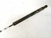 Gasdruckfeder Kofferraum Opel Signum, 2003.05 - 2008.06 9180256, 91802560512