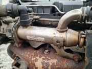 Abgaskühler AGR-Kühler Citroen C5, II 2008.02 - 2011.01 9645689780, 875816w