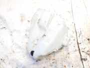 Scheibenwaschbehälter Vorne Wischwasserbehälter Citroen C3, I 2002.02 - 2005.06 968024898001,