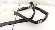 Kopfairbag - Vorne Linke Renault Scenic, II 2003.06 - 2006.06 6005437,