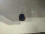 Waschwasserdüse Scheibenreinigung Volvo S40, 2004.01 - 2007.03 Gebraucht,