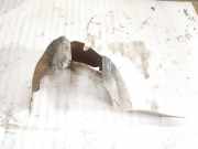 Radhausschale - Vorne Linke Peugeot 406, 1999.03 - 2004.05 facelift Gebraucht,