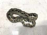 Zahnrad Nockenwelle Steuerkette Renault Megane, III 2008.11 - 2012.06 Gebraucht,