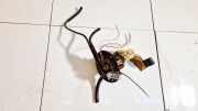 Kraftstoffpumpe Suzuki Ignis 2000 - 2006 Gebraucht,