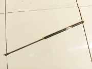 Gasdruckfeder Kofferraum Peugeot 207, 2006.02 - 2009.06 2206310500n,