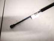 Gasdruckfeder Kofferraum Fiat Punto, 2005.10 - 2012.03 51778432,