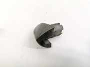 Türgriff Außen Endkappe BMW X5, E53 2000.01 - 2003 Gebraucht,