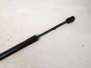 Gasdruckfeder Kofferraum Audi A4, B6 2000.11 - 2004.11 4b5827552,