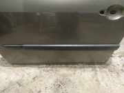 Zierleiste T?r Zier-Schutzleiste - Vorne Linke Renault Scenic, II 2003.06 - 2006.06 Gebraucht,