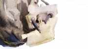 Hauptbremszylinder Audi A4, B7 2004.11 - 2008.06 Gebraucht,