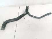 Kühlerschlauch Renault Scenic, I 1999.09 - 2003.06 facelift Gebraucht ,