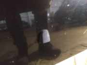 Waschwasserdüse Scheibenreinigung Volvo V50, 2007.05 - 2012.01 Gebraucht,