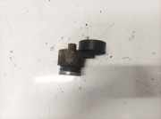 Spannrolle Renault Scenic, II 2003.06 - 2006.06 Gebraucht,