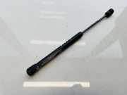 Gasfeder für Motorhaube Chrysler 300C, I 2005.01 - 2010.06 1227442,