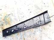 Schutzleiste Tür - Vorne Rechts Renault Scenic, II 2003.06 - 2006.06 8200139600,