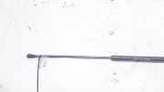 Gasfeder für Motorhaube Peugeot 406, 1999.03 - 2004.05 facelift 9630662480,