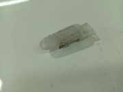 Innenraumleuchte Renault Scenic, II 2003.06 - 2006.06 Gebraucht,