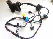 Kabelbaum Skoda Superb, II 2008.03 - 2013.06 3t2971121al,