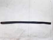 Zierleiste Tür Zier-Schutzleiste - Vorne Rechts Fiat Brava, 1995.10 - 2002.12 b351281,