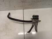 Einspritzleiste Gasanlage Chevrolet Captiva, 2006.01 - 2011.06 67R010185,67R-010185 67R010185