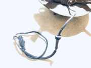 Sensor f?r ABS - Vorne Linke Mitsubishi Colt, 2003.09 - 2008.09 mn102857,f00c160001