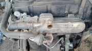 AGR Ventil Volkswagen Golf, V 2003.10 - 2008.10 03G131513, AZV