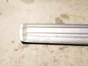 Zierleiste Tür Zier-Schutzleiste - Vorne Rechts Mitsubishi Pajero, 1999.10 - 2006.12 Gebraucht,