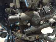 Thermostat Nissan Primera, P12 2002.01 - 2008.12 Gebraucht,