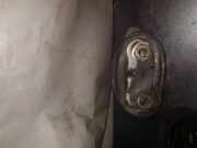 Türfangband Türbremse Türstopper - Vorne Linke Citroen C8, I 2002.07 - 2008.06 Gebraucht ,