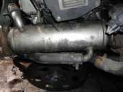Abgaskühler AGR-Kühler Chevrolet Captiva, 2006.01 - 2011.06 Gebraucht,
